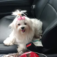 processed/4ec81be2-c114-4a4c-bf64-90c4a1292a50/facility/be6808a2-e5aa-43a7-9933-71bd159c0a50