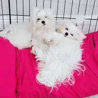 processed/4ec81be2-c114-4a4c-bf64-90c4a1292a50/facility/c274b165-bac2-4358-8fb6-b33559b966a9