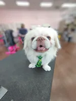 processed/4ec81be2-c114-4a4c-bf64-90c4a1292a50/facility/cbcd5d03-729e-49b6-9250-011338955ec8