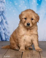 processed/4ecd886b-dd15-4361-b924-ff9323e58a3b/listing/0d59f589-bf55-4287-b9a5-eca959e463fb/1620340c-dd3e-487b-8119-b798f170013b