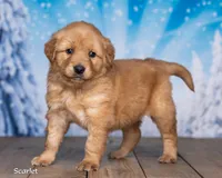 processed/4ecd886b-dd15-4361-b924-ff9323e58a3b/listing/0d59f589-bf55-4287-b9a5-eca959e463fb/1b10cef5-1819-42a1-bc20-99de44ac912c