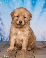 processed/4ecd886b-dd15-4361-b924-ff9323e58a3b/listing/0d59f589-bf55-4287-b9a5-eca959e463fb/fd717dd0-7865-40d3-aada-eb3b2e170577