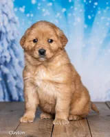 processed/4ecd886b-dd15-4361-b924-ff9323e58a3b/listing/4e8205d0-ad14-46db-b5ef-c9d7f4cbe3a0/78df0381-ba29-4b53-b503-1da742c2b44e