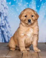 processed/4ecd886b-dd15-4361-b924-ff9323e58a3b/listing/4e8205d0-ad14-46db-b5ef-c9d7f4cbe3a0/e4d648f4-b8cc-4b3d-998c-2de921d0b058