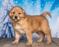 processed/4ecd886b-dd15-4361-b924-ff9323e58a3b/listing/4e8205d0-ad14-46db-b5ef-c9d7f4cbe3a0/e70aaf10-7f15-47ec-b0c2-730ca7c05262