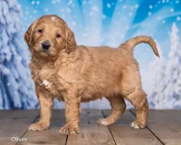 processed/4ecd886b-dd15-4361-b924-ff9323e58a3b/listing/7be510a9-96ef-4f02-a3cc-08de0dcbab56/4ed767bc-fd70-49e4-925d-81979922e570