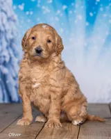 processed/4ecd886b-dd15-4361-b924-ff9323e58a3b/listing/7be510a9-96ef-4f02-a3cc-08de0dcbab56/af253d4f-471e-4497-9176-343d289eaccd