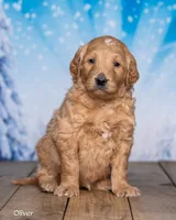 processed/4ecd886b-dd15-4361-b924-ff9323e58a3b/listing/7be510a9-96ef-4f02-a3cc-08de0dcbab56/e90ca21d-169c-4e5a-880a-a2523e02c184