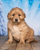 processed/4ecd886b-dd15-4361-b924-ff9323e58a3b/listing/8f4be7eb-c7fd-4b18-9833-acc25b456891/153f6d34-0e8f-4a88-9cf1-24378e67c1bf