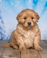 processed/4ecd886b-dd15-4361-b924-ff9323e58a3b/listing/8f4be7eb-c7fd-4b18-9833-acc25b456891/1d066536-e4bd-439b-8327-3ec8920486d9