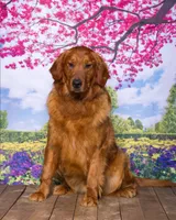 processed/4ecd886b-dd15-4361-b924-ff9323e58a3b/listing/8f4be7eb-c7fd-4b18-9833-acc25b456891/d9275aa5-b0b3-4dc9-b0c4-97b37da202f9