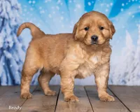 processed/4ecd886b-dd15-4361-b924-ff9323e58a3b/listing/8f4be7eb-c7fd-4b18-9833-acc25b456891/f884cd45-8205-47b5-8bc1-a61589580b12