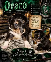 Draco, a male Toy Australian Shepherd for sale in Evart, MI – 1 of 9