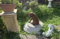 Ares, a male American Pit Bull Terrier for sale in San Jose, CA – Photo 9 of 9