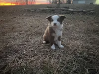 processed/4ed49d56-ab0a-4205-a17f-c936eb563f36/listing/1a72878c-7e47-4b97-bce1-4c54e7a49e51/52b482dd-59c2-4411-b7d2-fe9559de03cd