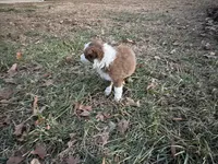 processed/4ed49d56-ab0a-4205-a17f-c936eb563f36/listing/1a72878c-7e47-4b97-bce1-4c54e7a49e51/64ea82db-4ff9-448c-9b86-7ab0c0c91b36