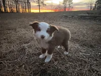 processed/4ed49d56-ab0a-4205-a17f-c936eb563f36/listing/1a72878c-7e47-4b97-bce1-4c54e7a49e51/a2d3bd9b-4d08-471f-86fa-859ce4c36d3a