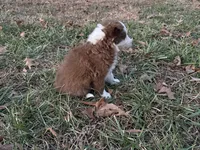 processed/4ed49d56-ab0a-4205-a17f-c936eb563f36/listing/1a72878c-7e47-4b97-bce1-4c54e7a49e51/ff82fd78-7667-42e8-a297-6ef26e2fb193