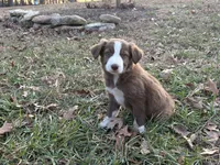 processed/4ed49d56-ab0a-4205-a17f-c936eb563f36/listing/733bfb7f-de40-4115-828b-9f6916530828/1103f5eb-5545-44fd-8f33-618afe02aad8