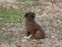 processed/4ed49d56-ab0a-4205-a17f-c936eb563f36/listing/733bfb7f-de40-4115-828b-9f6916530828/58d3557b-8d6c-474c-be89-2abab1889c5e