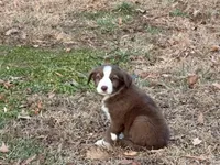 processed/4ed49d56-ab0a-4205-a17f-c936eb563f36/listing/733bfb7f-de40-4115-828b-9f6916530828/7ec7bff4-8063-41f6-9489-ed807fa37471