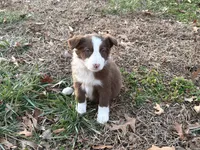 processed/4ed49d56-ab0a-4205-a17f-c936eb563f36/listing/9e9bbe9c-578e-4181-bb56-7cfb0b7d5d42/3aa65c47-9c60-433c-b763-0cd585a0cf0a