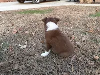 processed/4ed49d56-ab0a-4205-a17f-c936eb563f36/listing/9e9bbe9c-578e-4181-bb56-7cfb0b7d5d42/80b916dd-ce6e-473a-a402-c5724f31e516