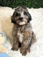 processed/4edc318f-83bb-4041-9af4-80c92a229fb1/listing/1e2333b2-1fa8-4ae7-8822-e95972ae7ed7/73471ec6-b752-45a2-8ba5-88da686b7769