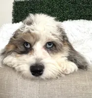 processed/4edc318f-83bb-4041-9af4-80c92a229fb1/listing/4894f3c7-5250-4874-b32a-437dda7a071f/0af29dc8-ac4a-4dd6-8e3b-84c37c364c03