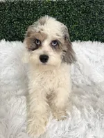 processed/4edc318f-83bb-4041-9af4-80c92a229fb1/listing/4894f3c7-5250-4874-b32a-437dda7a071f/853a2621-9cef-4ea9-844c-bff23dbf94c6