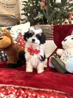 processed/4edc318f-83bb-4041-9af4-80c92a229fb1/listing/6193edf3-1cb0-49c9-ac69-cf2fa94e4ead/a86d3726-913a-4692-aaff-d9e9c73c7b84