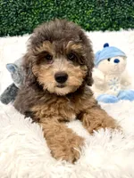 processed/4edc318f-83bb-4041-9af4-80c92a229fb1/listing/a162c9f7-e6e4-44a4-8d88-0049b9d99b91/49646c09-34a0-4dd0-8528-33ea2edb4686