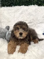 processed/4edc318f-83bb-4041-9af4-80c92a229fb1/listing/a162c9f7-e6e4-44a4-8d88-0049b9d99b91/f26beabc-c97f-4999-a7b9-3b209ed49f60