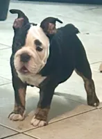 processed/4eefe112-9f48-45fe-9167-2fa578e445cd/listing/128d1b07-293b-4fec-9bb0-8a7c979fad2a/4cefd8a5-f262-4dc8-a6c4-4bd427e9046e