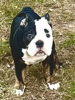 processed/4eefe112-9f48-45fe-9167-2fa578e445cd/listing/128d1b07-293b-4fec-9bb0-8a7c979fad2a/72ba125b-07e4-4b40-8794-25b2ec37768a