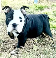 processed/4eefe112-9f48-45fe-9167-2fa578e445cd/listing/128d1b07-293b-4fec-9bb0-8a7c979fad2a/b7e34275-fd61-4b1f-abf7-b805ae5052cb