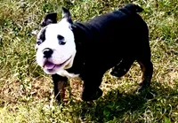 processed/4eefe112-9f48-45fe-9167-2fa578e445cd/listing/128d1b07-293b-4fec-9bb0-8a7c979fad2a/ec0df6f0-e846-4d62-95ec-f786a82266b3