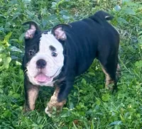 processed/4eefe112-9f48-45fe-9167-2fa578e445cd/listing/128d1b07-293b-4fec-9bb0-8a7c979fad2a/fbb44485-4818-4985-b79d-1c991e7c4971