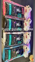 READY NOW FLUFFY FRENCHIE, a female French Bulldog for sale in Plano, IL – 5 of 5