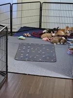 processed/4ef7ff0c-59ce-4920-8173-255c4068bd62/facility/f61c007e-f38c-4935-ade3-a47db69ecce8