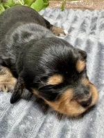 processed/4efce14b-6f25-4d93-8864-e6ea5e4caacc/listing/6115c8bc-e547-443c-b9c1-75b687bffc67/4856a4dc-9a16-4fc6-b800-8e507ec23af7