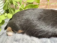 processed/4efce14b-6f25-4d93-8864-e6ea5e4caacc/listing/6115c8bc-e547-443c-b9c1-75b687bffc67/4c468cac-1d1e-499f-b602-49dc6b76690f