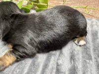 processed/4efce14b-6f25-4d93-8864-e6ea5e4caacc/listing/6115c8bc-e547-443c-b9c1-75b687bffc67/90c81da5-7152-4c63-9f91-5bc1126c3145