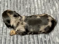 processed/4efce14b-6f25-4d93-8864-e6ea5e4caacc/listing/76acf2c4-7042-4e1b-9111-7c9f68238bea/7832de6d-6d08-4cca-9148-dd3b70382269