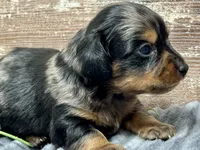 processed/4efce14b-6f25-4d93-8864-e6ea5e4caacc/listing/76acf2c4-7042-4e1b-9111-7c9f68238bea/b7cc3197-f098-40ca-a85a-f420cb6e0168