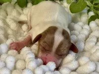 processed/4efce14b-6f25-4d93-8864-e6ea5e4caacc/listing/824a02ee-c03e-4dd7-840c-cd3c4baab31a/0ed1a8cd-3c06-40a7-847b-841f4816a143