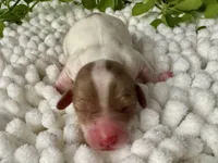 processed/4efce14b-6f25-4d93-8864-e6ea5e4caacc/listing/824a02ee-c03e-4dd7-840c-cd3c4baab31a/fb3ddc9f-e332-4e28-83d6-90b1e592e331