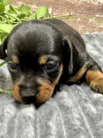 processed/4efce14b-6f25-4d93-8864-e6ea5e4caacc/listing/89b125ce-d886-48d6-82cb-af871eba14c2/15654350-d4ef-4d5f-bb80-24d79d2dec0a