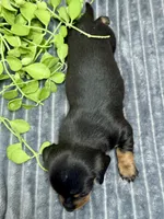 processed/4efce14b-6f25-4d93-8864-e6ea5e4caacc/listing/89b125ce-d886-48d6-82cb-af871eba14c2/c37bda45-e6b4-4dce-9d03-cab270510250