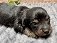 processed/4efce14b-6f25-4d93-8864-e6ea5e4caacc/listing/e39ba0f9-18d0-4393-9eda-a1178ca02170/7d9676e2-3e64-4f37-a33d-515abe396f6b